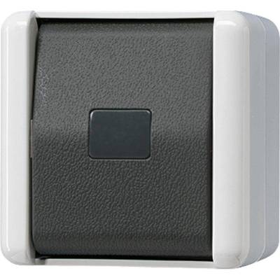 WG Przycisk dzowkowy, 2 krotny