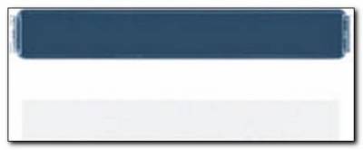 Płytka centralna z pleksy