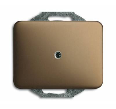 Pokrywa z pierścieniem nośnym