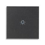 Klawisz wymienny dla mechanizmów osiowych, z symbolem lampy, 2M, antracyt