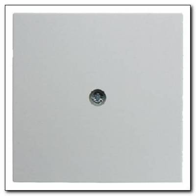 Element centralny do przyłącza kablowego i gniazda VDo; śnieżnobiały; S.1/B.1/B.3/B.7 Glas Numer katalogowy: 10191909