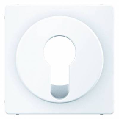 Element centralny do łącznika na klucz; śnieżnobiały, aksamit; Q.1 Numer katalogowy: 15076089