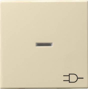 Klawisz kontrolny symbol gniazda System 55 kremowy