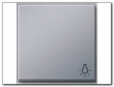 Klawisz symbol światła Gira TX_44 (IP 44) kolor alu