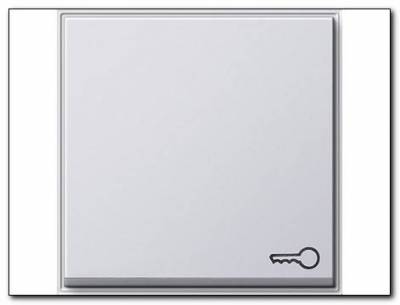 Klawisz symbol klucza Gira TX_44 (IP 44) biały
