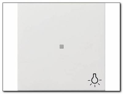 Klawisz kontrolny symbol światła Gira F100 biały